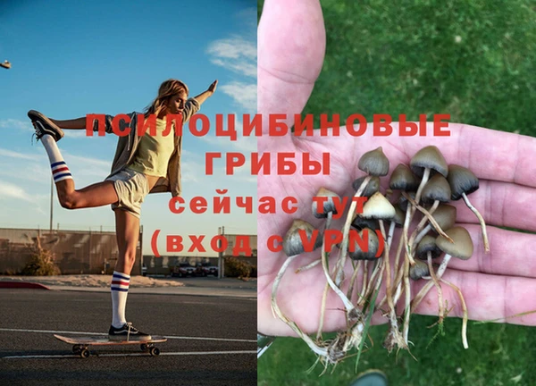 метамфетамин Армянск