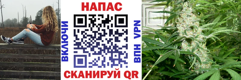 Бошки марихуана семена Краснодар